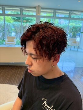 ヴェルデ(VERDE) ツイスパセンターパート