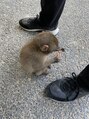 ヒロギンザ 神田店(HIRO GINZA) 僕の地元で有名な高崎山自然動物園のお猿さんです！＜理容室＞