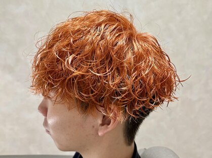 オーパーツ(OOPARTS)の写真