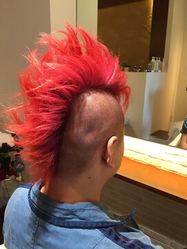 コクーン(CoCooN) ファイヤーバード