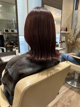 シェリッシュ ノース(Sheriche North) 艶カラー×レッドブラウンカラー