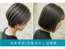 美容室ステラ 東大宮店の雰囲気（「脱白髪染めハイライト」・「白髪ぼかし」で変身しましょう！）