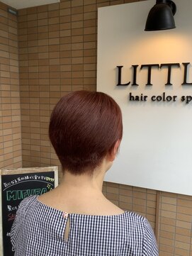 リトル(LITTLE) オレンジカラー