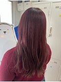 【末安】カシスレッド