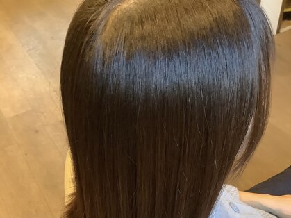 フィガロ(Figaro)の写真
