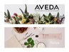 《パサつき→うるツヤ髪に》カット+カラー（AVEDA）ベーシックトリートメント
