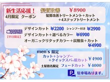 ラスター(LUSTER)