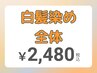 ☆ご新規様限定価格☆白髪染め 全体染め2,980円→2,480円（寝屋川）