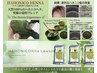 リタッチヘナ＋ケアシャンプーブロー＋ 2stepTm ￥10500→10000