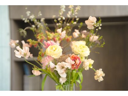 マイグラトリー(MIGRATORY)の写真