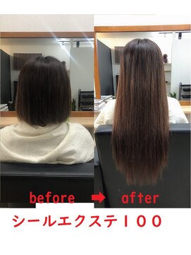 イーウェーブ ヘア(E-WAVE hair) エクステで１日でロングヘアー