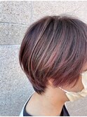 育てるハイライトラベンダーシルバー