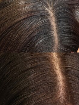 エテルナ(eterna)の写真/一人ひとりの髪の状態に合わせたケアカラーをご提案◇気になる白髪をダメージレスにしっかりとカバー♪