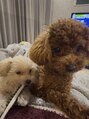 ケアリー 川西能勢口(Carelly) 可愛い愛犬と遊ぶのが日課です♪