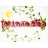 プアメリア(Puamelia)のお店ロゴ