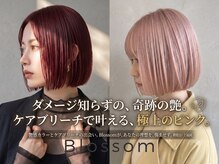 ブロッサム 上福岡店(Blossom)の雰囲気(ハイトーンカラーはダメージケアとのバランスを大切にしてます☆)
