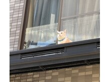 シーグラストウキョウ(sea glass TOKYO)