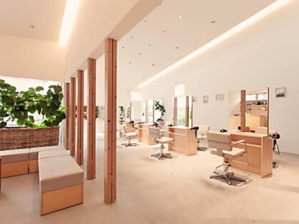 ラヴェストバイフレイスウェル(LOVEST by frace well)の写真