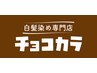 白髪染め シンプルカラー全体（肩上） ※ロング肩下＋550円