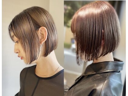 ノチ(Noci)の写真