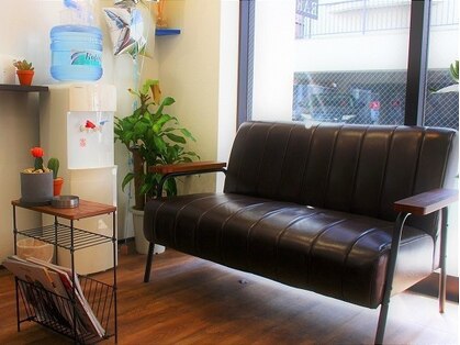 ララ(RARA)の写真