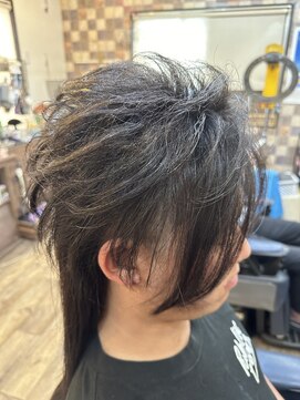 ヘアーサロン タムラ ツーブロックカット、ライブ仕様セット
