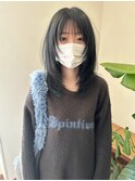 レイヤーセミロング