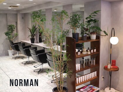 ノーマン(NORMAN)の写真