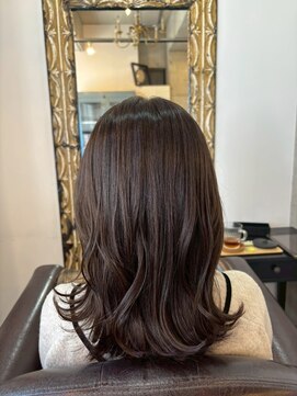 ヴィサージュエーデル(VISAGE edel) 【ココアカラー】