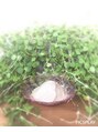 ニコ ヘアデザイン(nico hair design) nico NICO