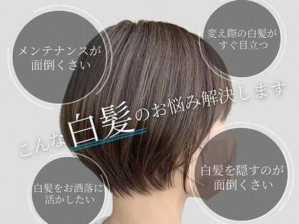 マーシュ(MARSH)の写真