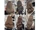 サロンティティ(salon titi)の写真
