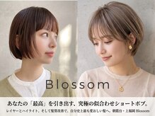 ブロッサム 上福岡店(Blossom)の雰囲気(ショートヘアの似合わせではカウンセリングを大事にしています♪)