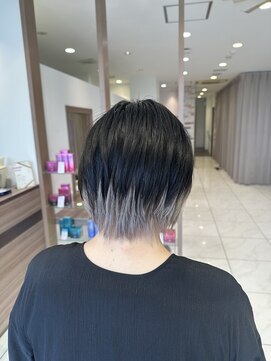 アッシュ 新杉田店(Ash) インナーシルバー