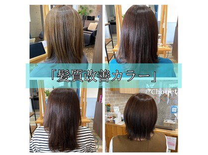 シュエット(Chouette)の写真