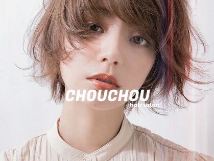 シュシュ(chou chou)の写真