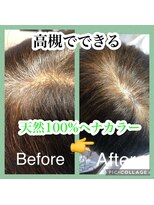 ジャズ JAZZ&nbsp;ヘナカラー　ヘナ　髪質改善　酸熱トリートメント　白髪染め