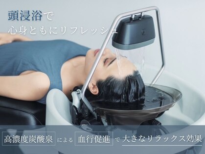 ボブ 関内(BOB)の写真