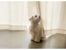 ナリテ.の雰囲気（わんちゃんもご一緒できます◎※事前にDMをお願いします）
