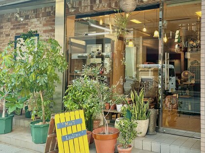 モスト(MocT)の写真