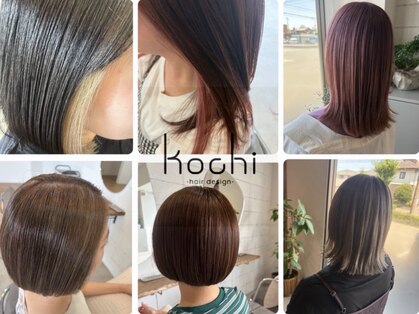 コチ(kochi)の写真