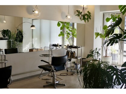 ヨウ(YEAU)の写真