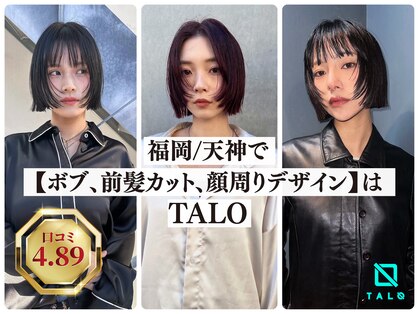 タロ(TALO)の写真