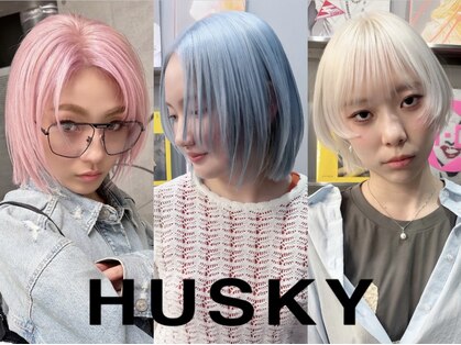 ハスキー(HUSKY)の写真