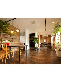 幸せたっぷり詰まったこだわりのサロン♪観葉植物に囲まれたリラックス空間で、楽しく贅沢なひと時を…☆