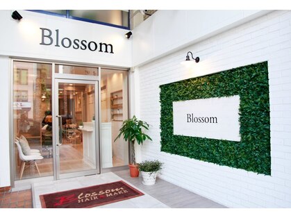ブロッサム アネックス 成増店(Blossom)の写真