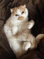 エマ ネクサス(EMA NEXUS) 猫ちゃんワンちゃん大好きです!