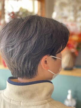 スナリー(Snaly) ハンサムショート