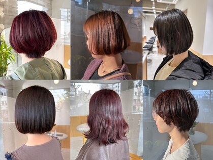 ワッカ(wacca)の写真