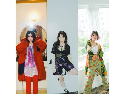 シツ(situ)の写真